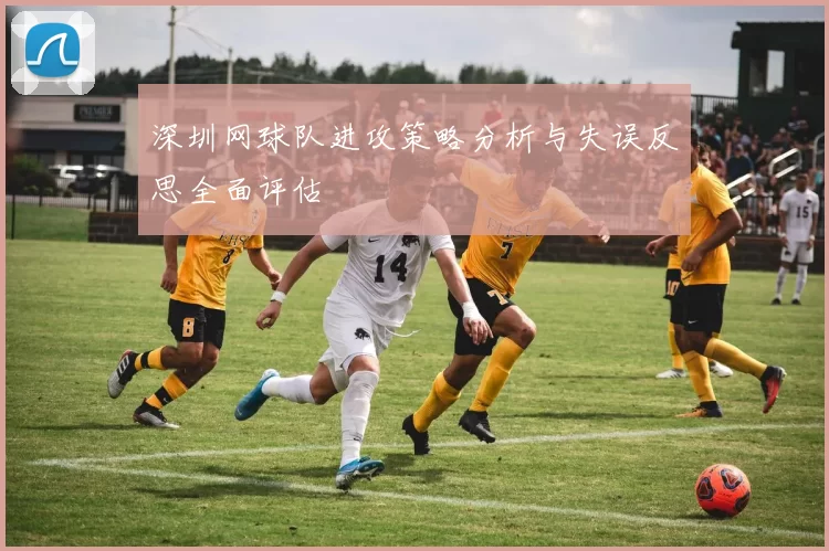 深圳网球队进攻策略分析与失误反思全面评估