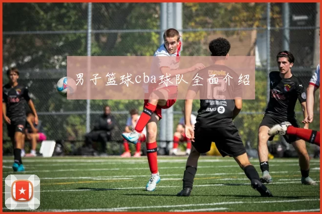 男子篮球cba球队全面介绍