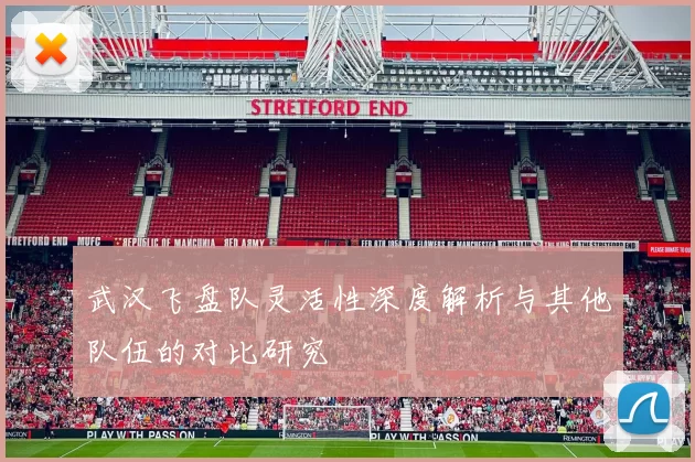 武汉飞盘队灵活性深度解析与其他队伍的对比研究
