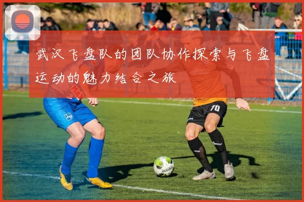 武汉飞盘队的团队协作探索与飞盘运动的魅力结合之旅