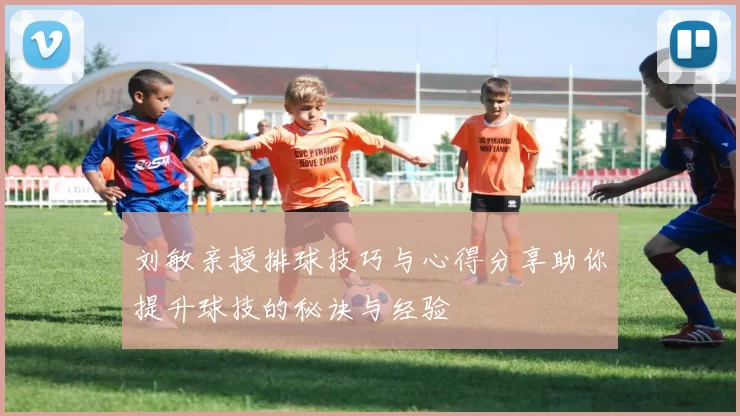 刘敏亲授排球技巧与心得分享助你提升球技的秘诀与经验