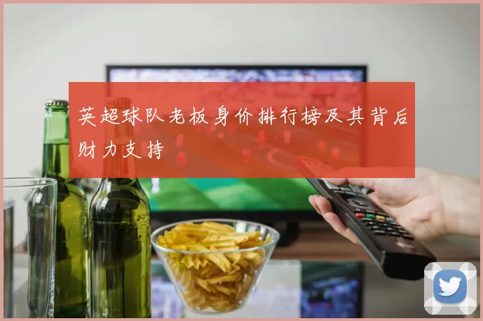 英超球队老板身价排行榜及其背后财力支持
