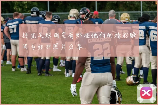 捷克足球明星有哪些他们的精彩瞬间与经典图片分享