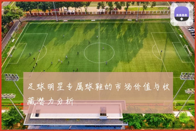 足球明星专属球鞋的市场价值与收藏潜力分析