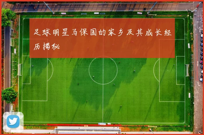 足球明星马保国的家乡及其成长经历揭秘