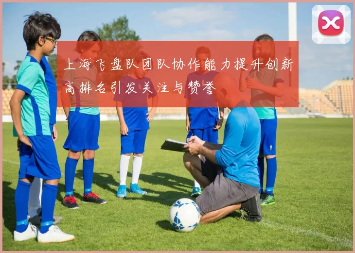 上海飞盘队团队协作能力提升创新高排名引发关注与赞誉