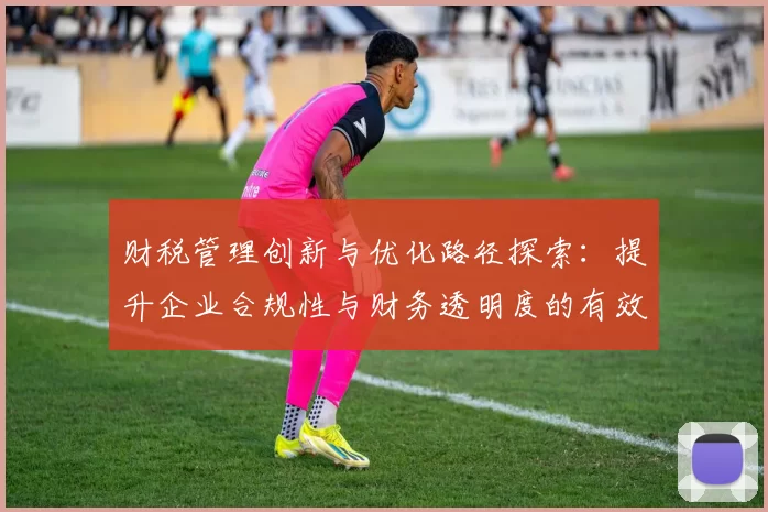 财税管理创新与优化路径探索：提升企业合规性与财务透明度的有效策略