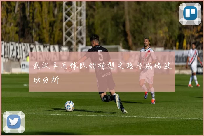 武汉乒乓球队的转型之路与成绩波动分析