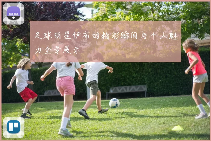 足球明星伊布的精彩瞬间与个人魅力全景展示